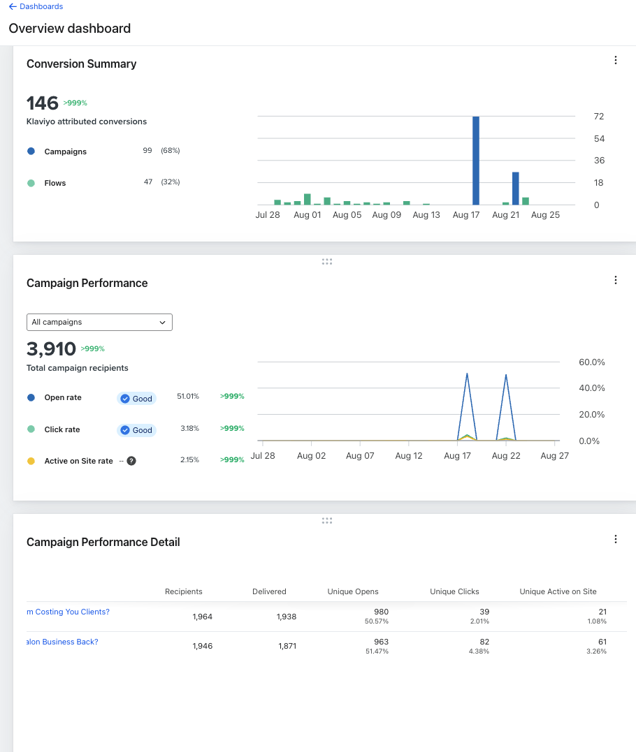 Klaviyo overview dashboard - 146 conversions, 51% open rate