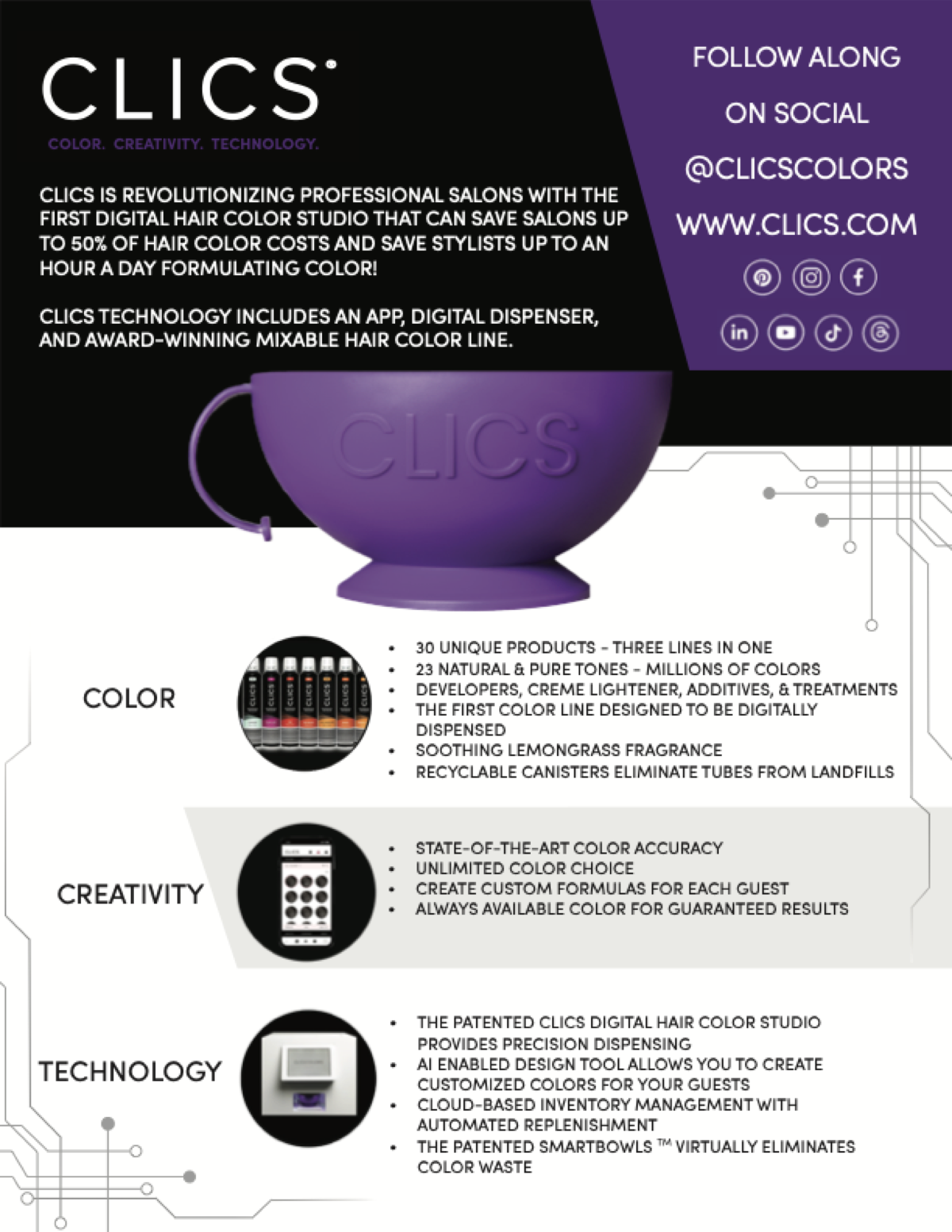 Old CLICS one-pager - cluttered layout, small text